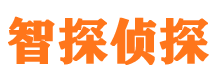 宜川出轨调查